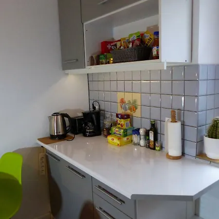 Kraszewskiego Apartmán Bytom